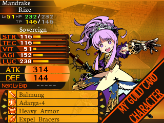 ギルドカードp.2[44]